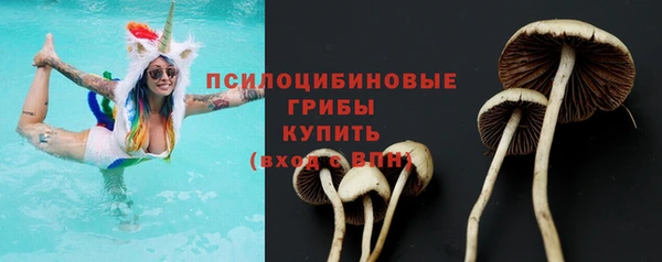 спайс Майский