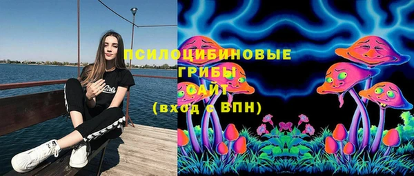 твердый Медвежьегорск