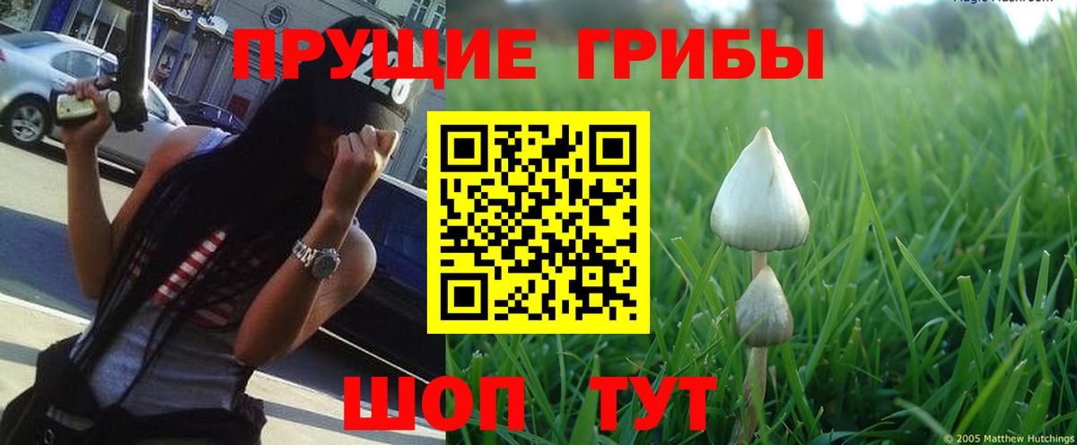 Псилоцибиновые грибы Magic Shrooms Петровск