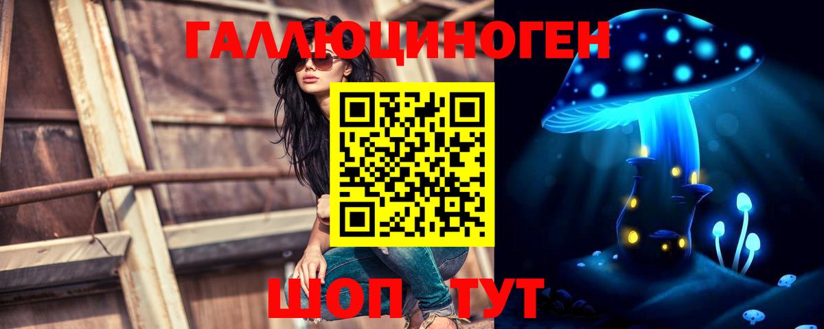 Псилоцибиновые грибы GOLDEN TEACHER Петровск