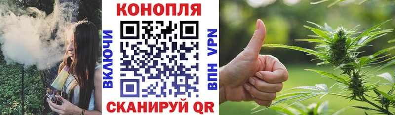 мориарти как зайти  Петровск  Бошки марихуана план  наркошоп 