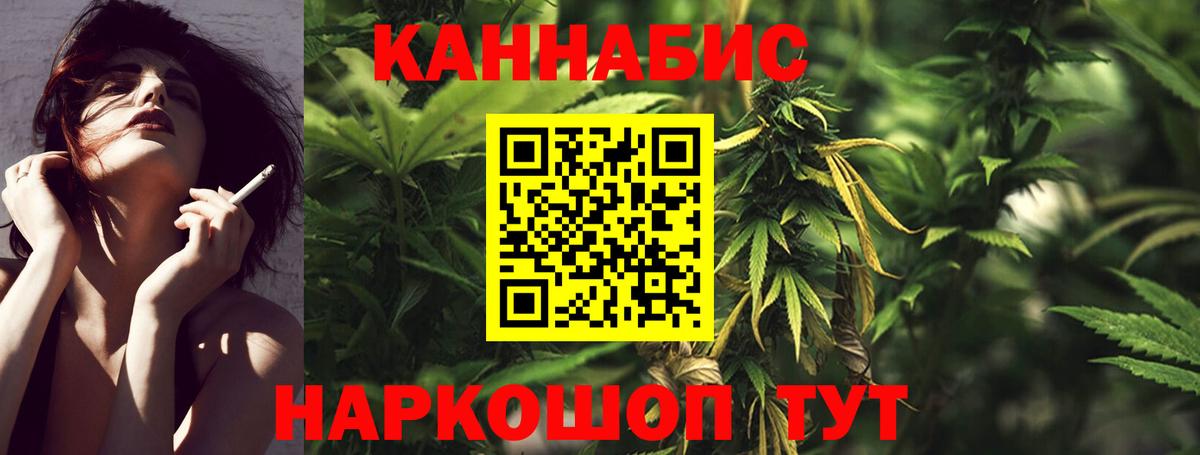 Бошки Шишки OG Kush  Бошки марихуана планчик  Марихуана семена  Вход с VPN  Конопля гибрид  Петровск 